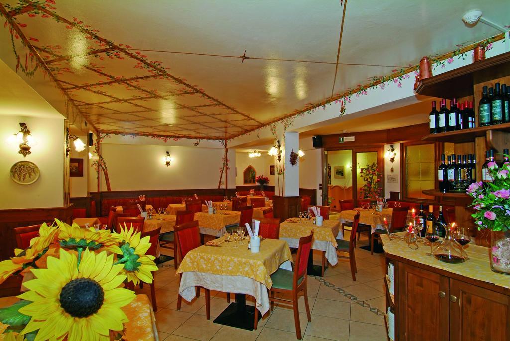 Hotel Erika